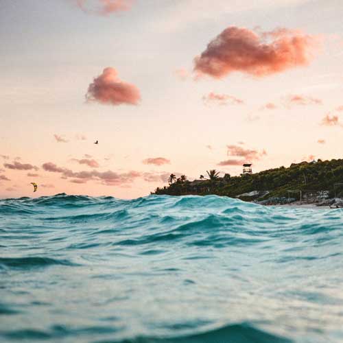 What we do at Cancun Airport Transportation What we do at Cancun Airport Transportation